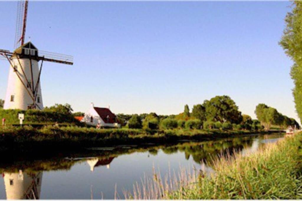 Duplex Appertement Met Zicht Damse Vaart @ Brugge Lägenhet Exteriör bild